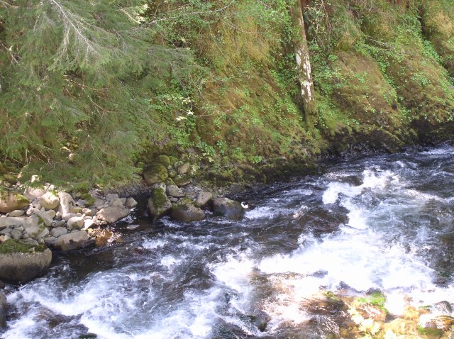 5.5.06 Eagle Creek 081 